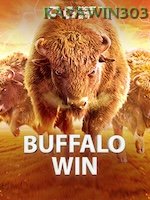 Buffalo Win game thumbnail