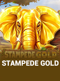 Stampede Gold Terbaru untuk Pemain: Review dan Panduan banner